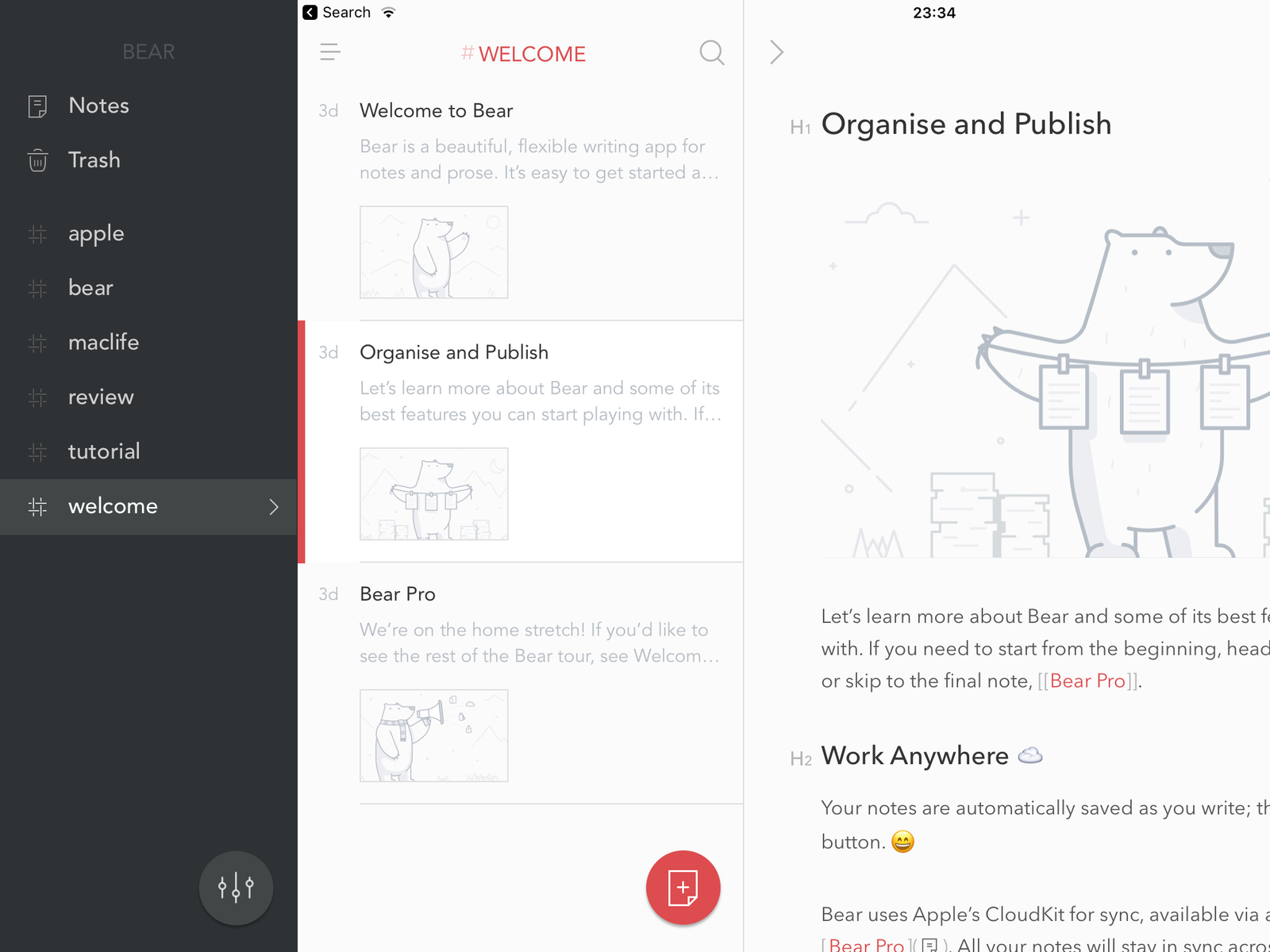 Bear for iPad 2016.