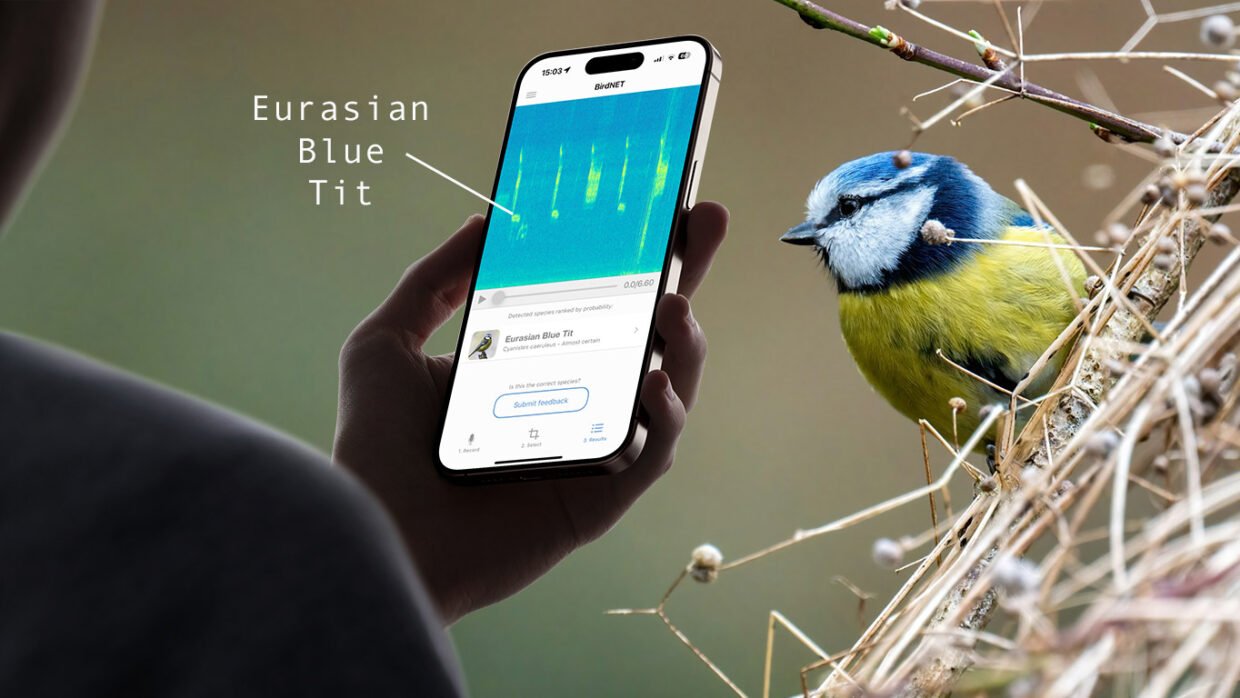 Birdnet hero