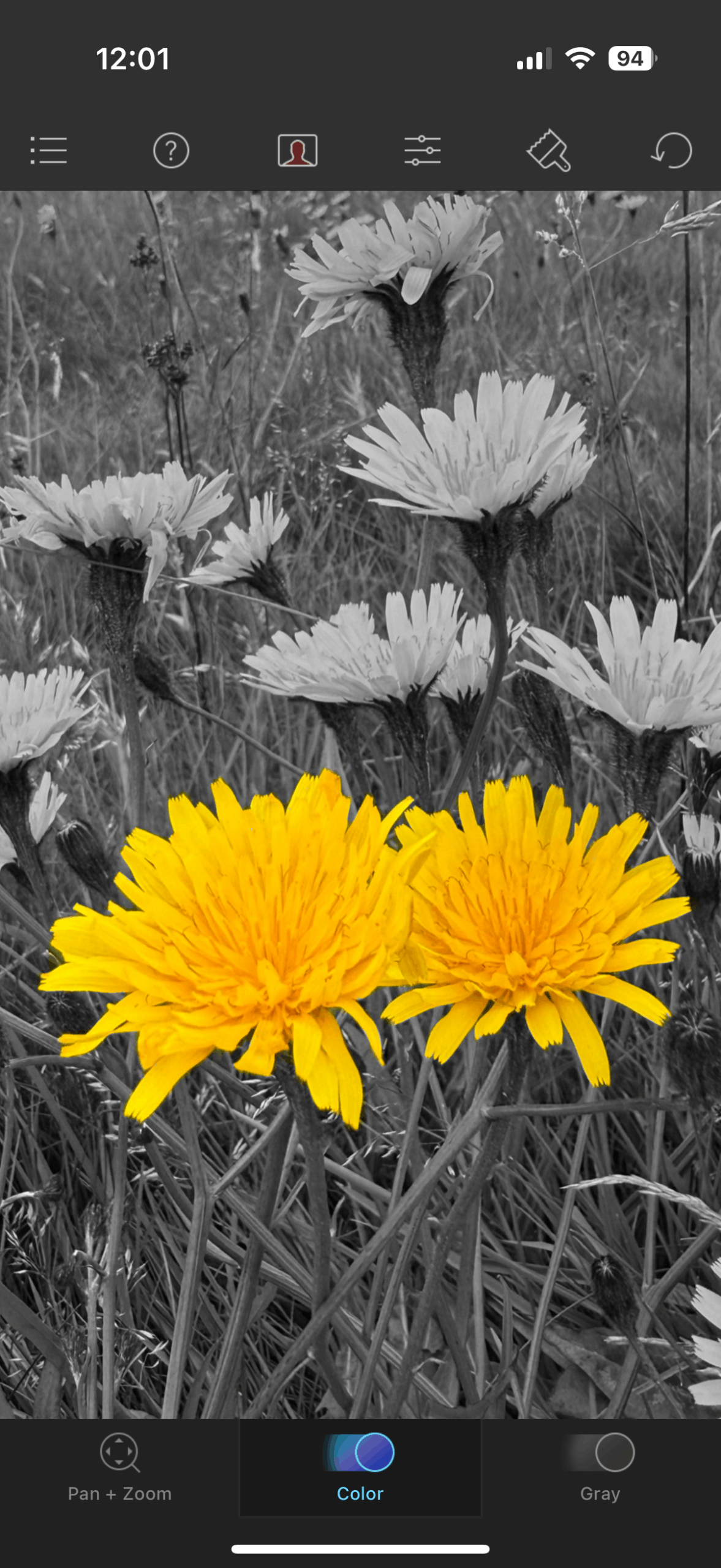 Color Splash 2025