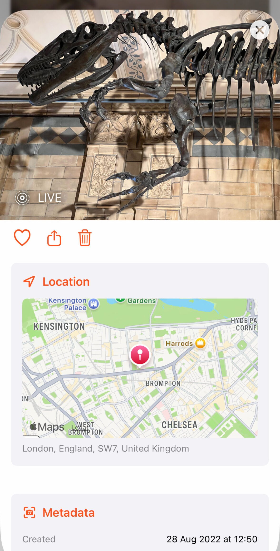 Fastbackward app