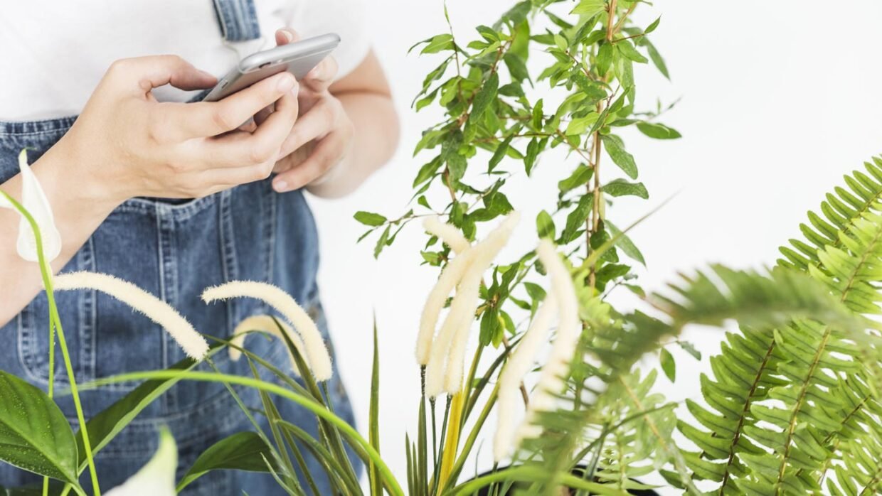 Gardening roundup
