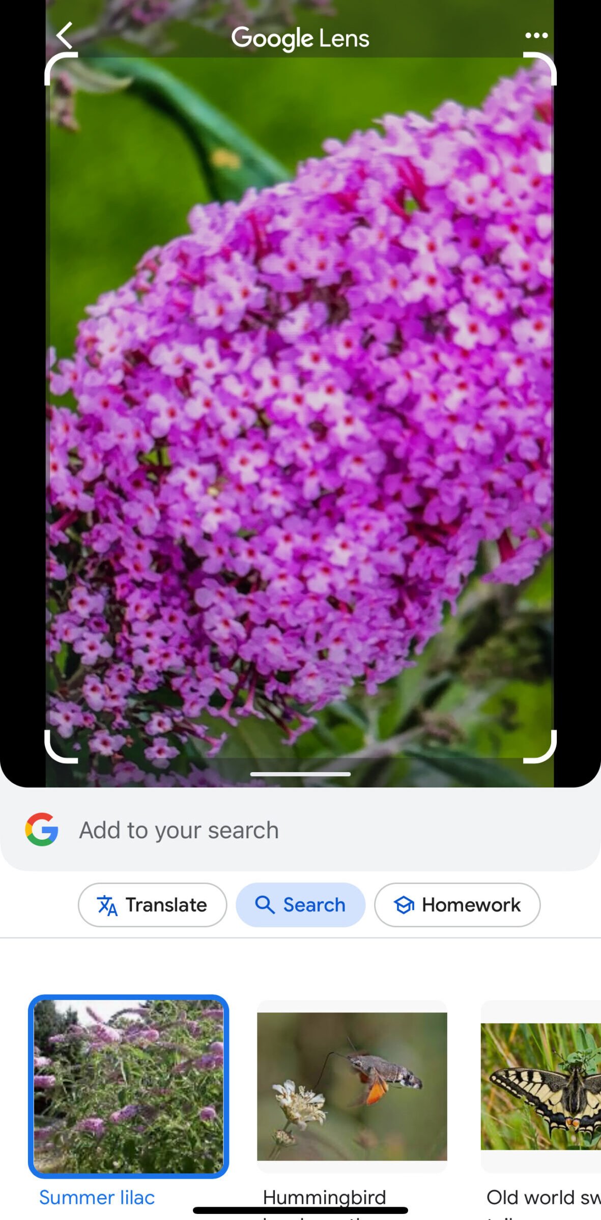 Google app