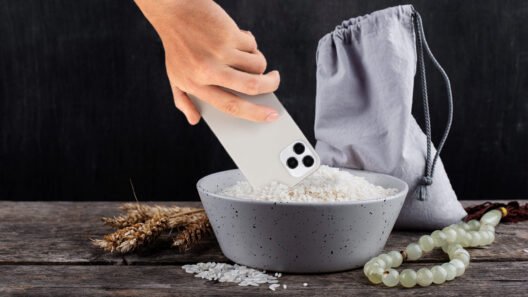 Iphone bagofrice