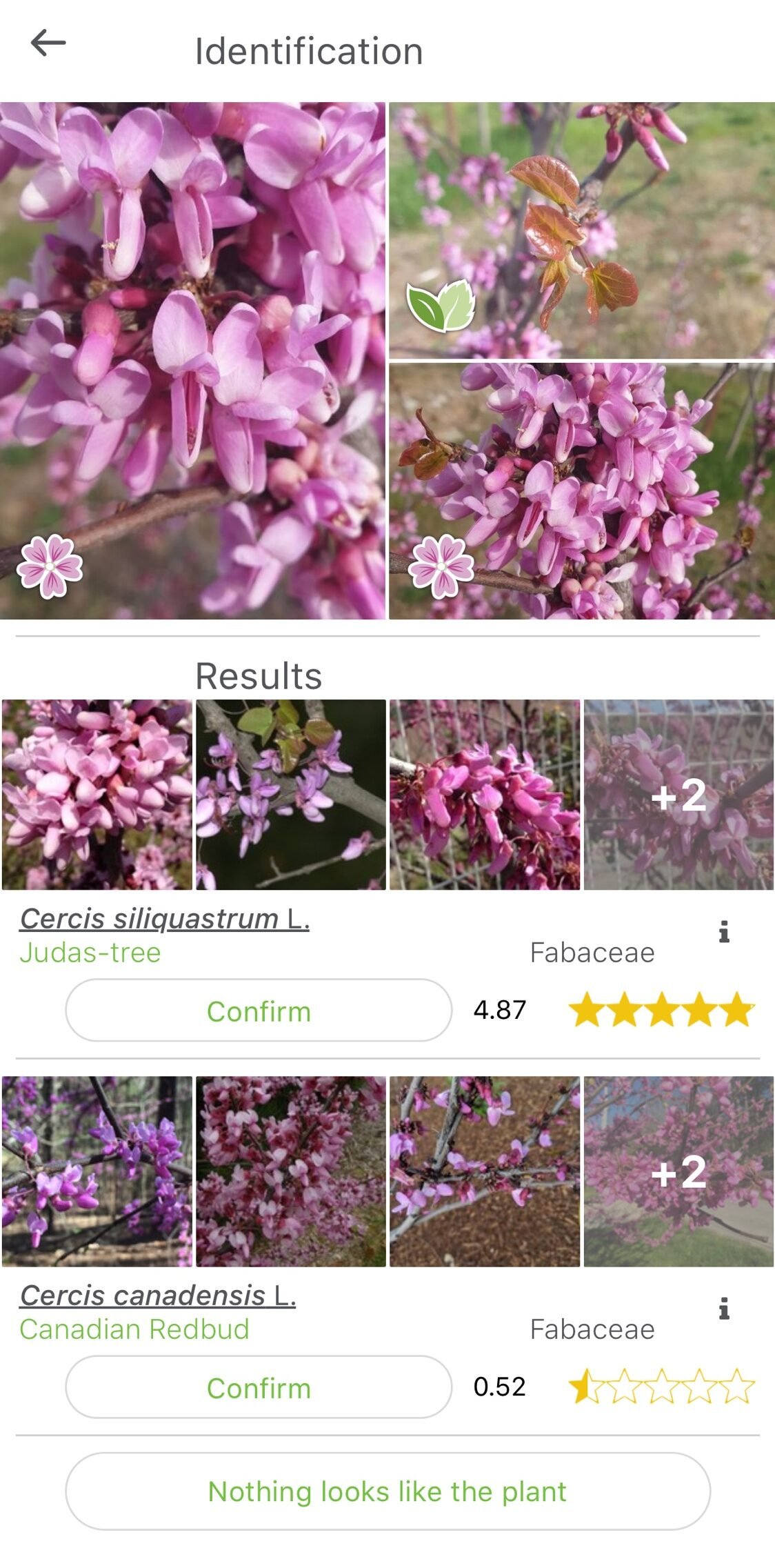 PlantNet