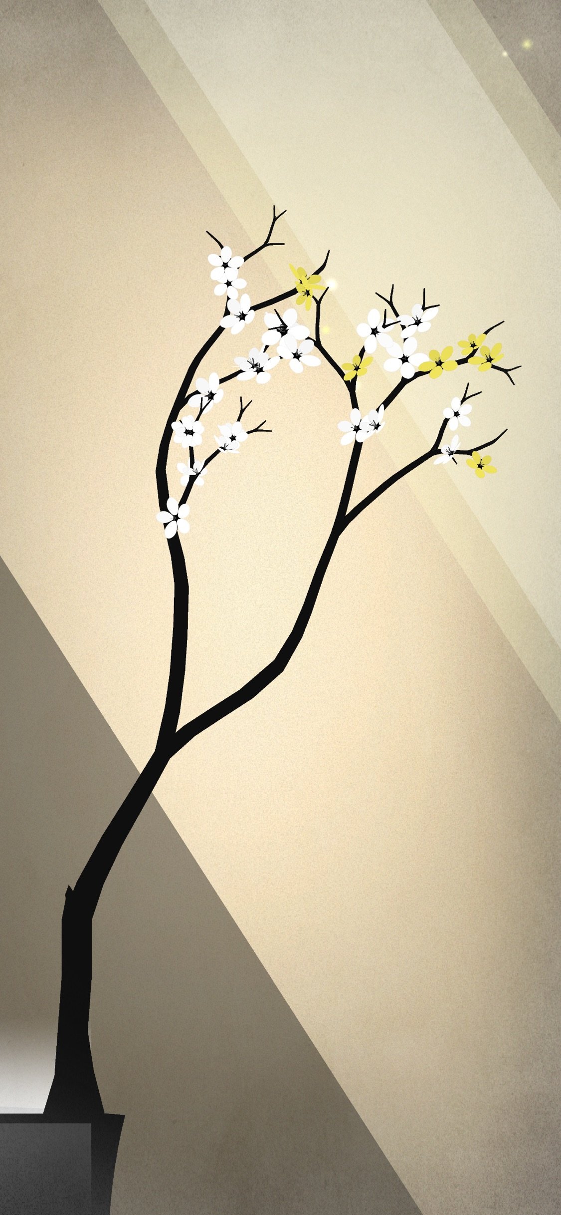 Prune
