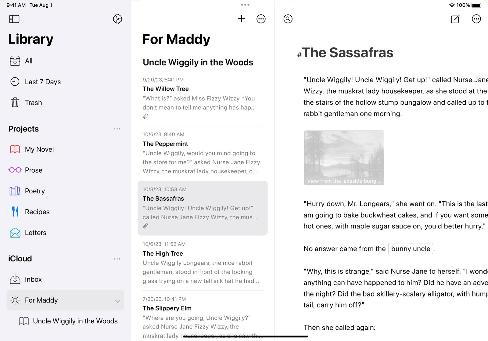 Ulysses on iPad